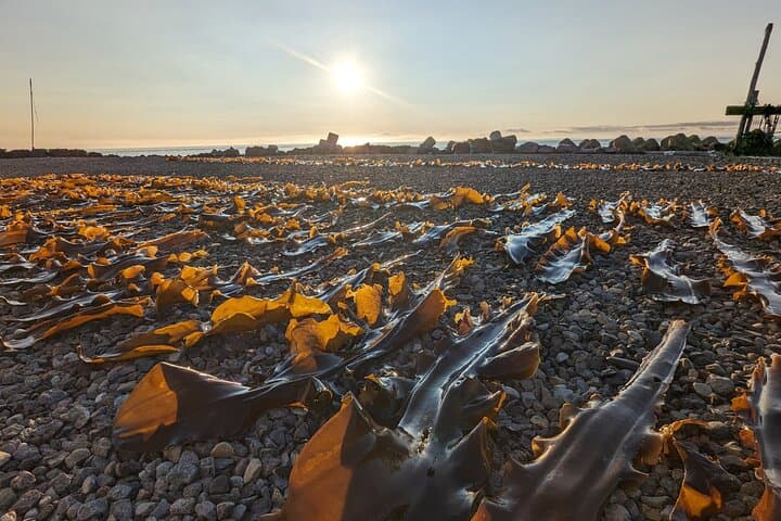 Kelp Fisheries Experience Traditional Japanese Food Culture — photo 8