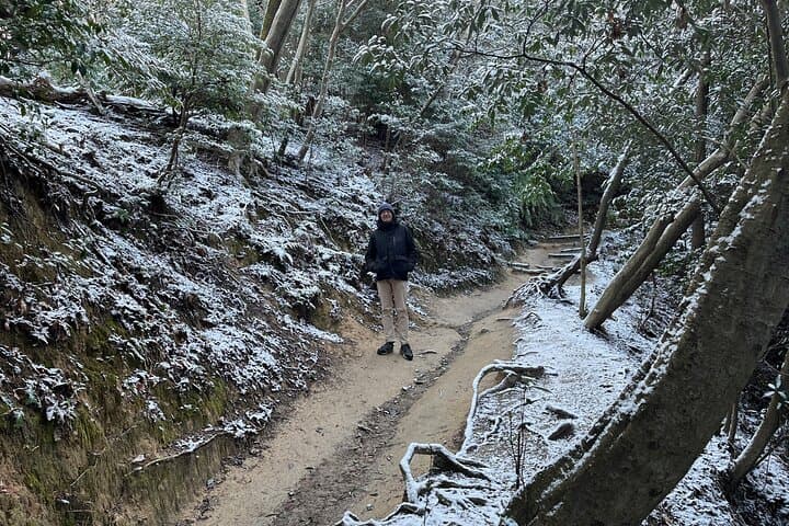 Mount Daimonji Hike Includes Temples Shrines & Gardens of Kyoto — photo 3