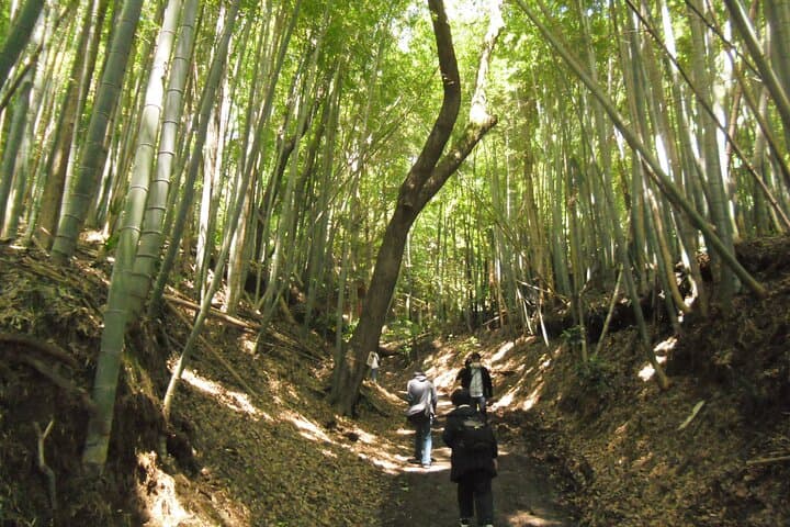 The Tour of the Warring States Period and History in Tokyo Tama — photo 13