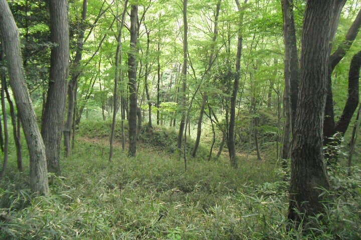 The Tour of the Warring States Period and History in Tokyo Tama — photo 14