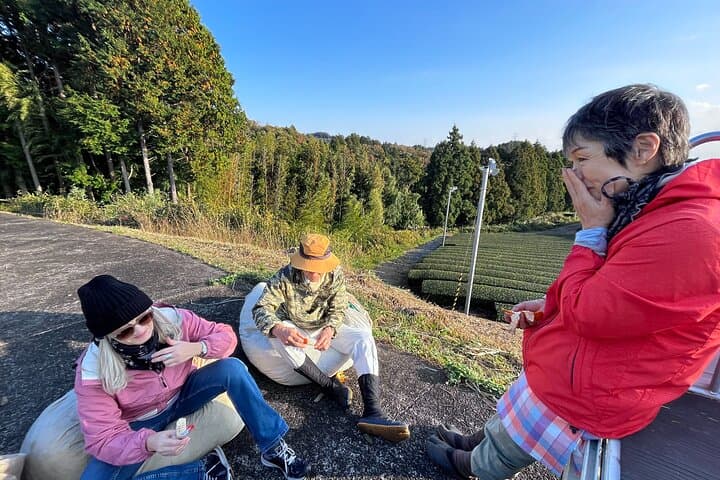 Experience tea picking with a tea farmer, and tempura lunch with picked tea leaves — photo 11