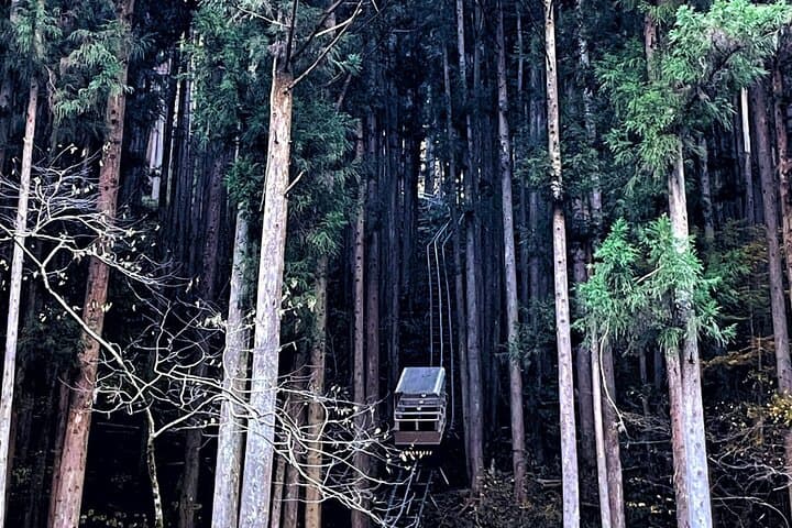 Discover Tokyo's Mountain Roots: History, Culture & Nature — photo 4