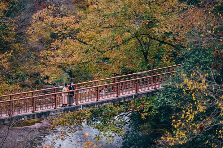 Discover Tokyo's Mountain Roots: History, Culture & Nature — photo 7