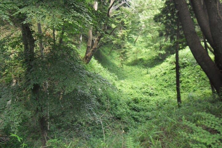 The Tour of the Warring States Period and History in Tokyo Tama — photo 20