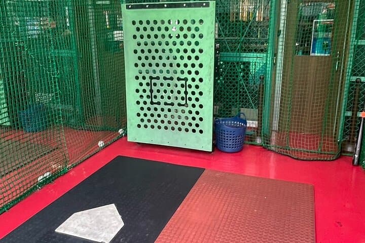 Japanese Food and Culture Experience Tour in Shinjuku Kabukicho — photo 6