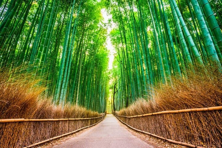 Katsuo-ji, Minoo Falls, Todai-ji, Arashiyama & Nara Park Day Tour — photo 13