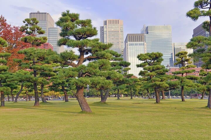 Tokyo Morning Small Group Tour — photo 3