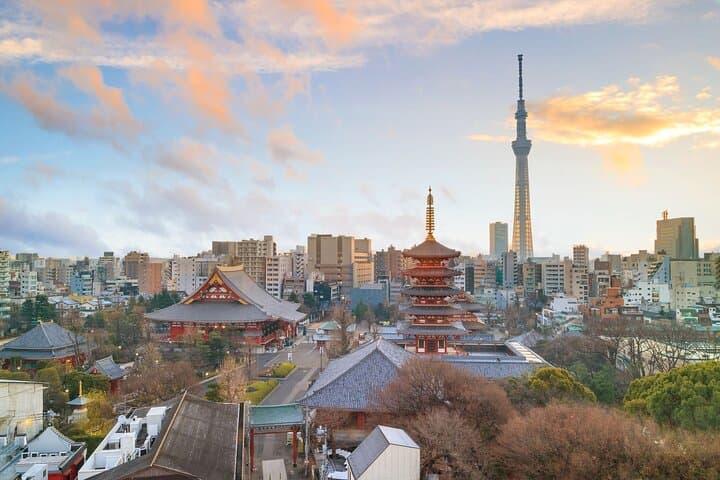 Tokyo Morning Small Group Tour — photo 7