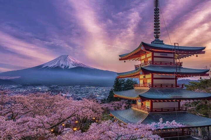 Mt.Fuji and Hakone Private SightSeeing Day Tour With Guide — photo 1