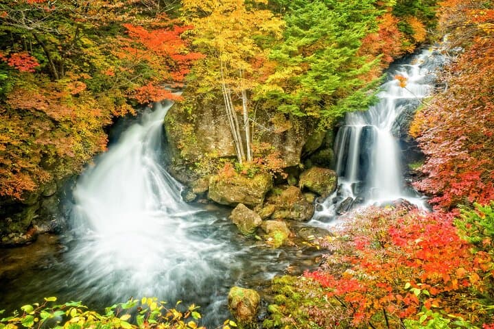 Nikko Private SightSeeing Day Tour With Guide (From Tokyo) — photo 18