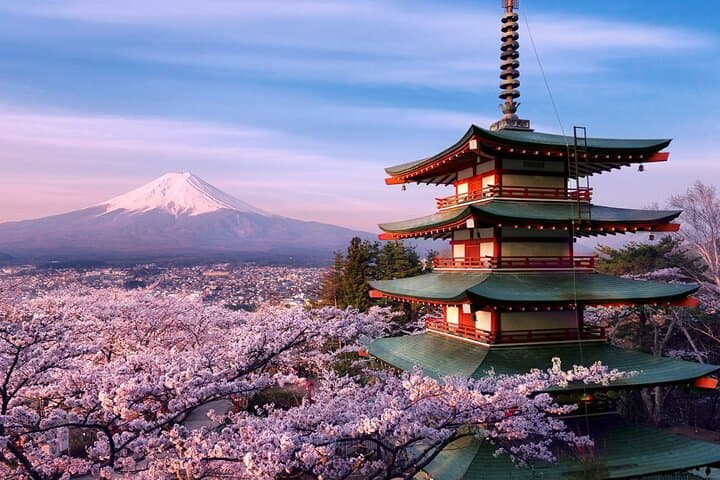 Mt.Fuji Private SightSeeing Day Tour With Guide (From Tokyo) — photo 1