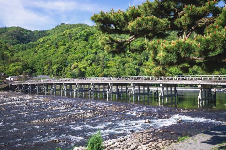 Kyoto top must-see Golden pavilion and Bamboo forest half-day Private tour — photo 4