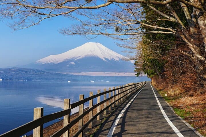 From Tokyo: Private Day Trip to Mount Fuji & Fuji Five lakes — photo 11