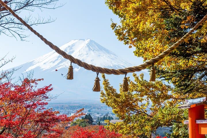 From Tokyo: Private Day Trip to Mount Fuji & Fuji Five lakes — photo 10