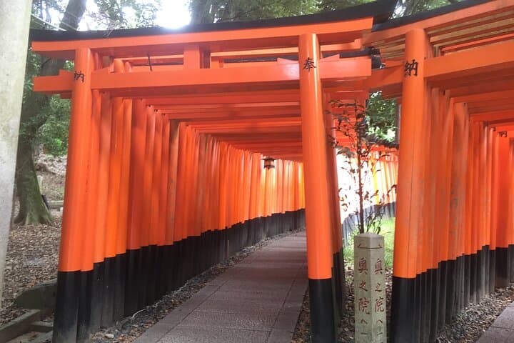 Half-Day Private Guided Tour to Fushimi Inari Taisha — photo 1