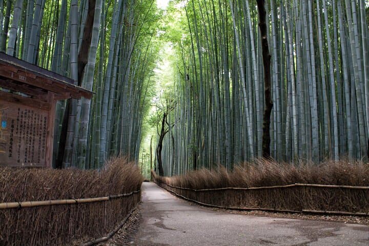 Arashiyama Walking Tour with Optional Sagano Romantic Train Ride — photo 11