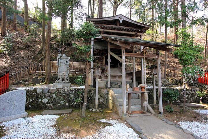 Arashiyama Walking Tour with Optional Sagano Romantic Train Ride — photo 12