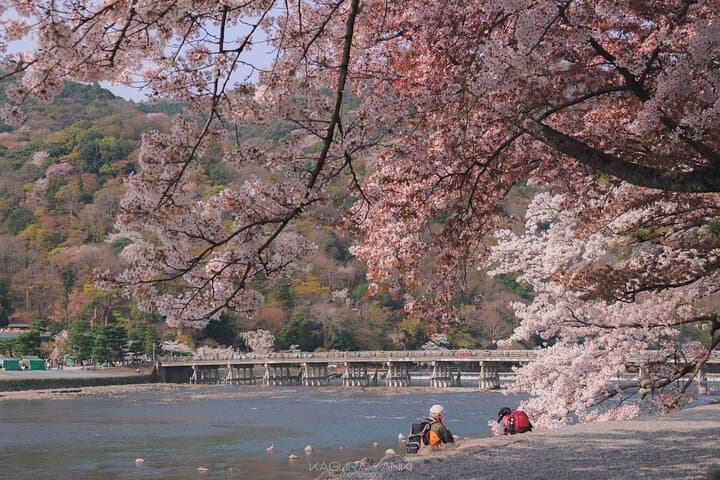 Arashiyama Walking Tour with Optional Sagano Romantic Train Ride — photo 17
