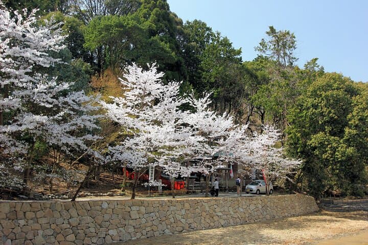 Arashiyama Walking Tour with Optional Sagano Romantic Train Ride — photo 15