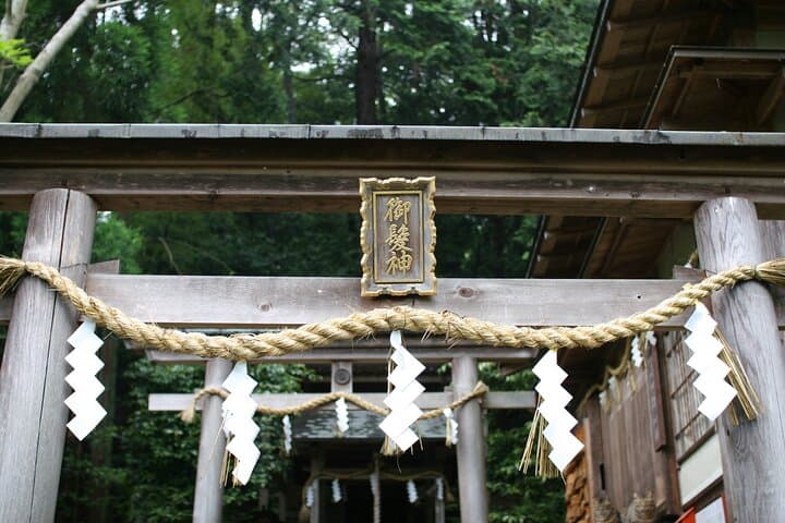 Arashiyama Walking Tour with Optional Sagano Romantic Train Ride — photo 16