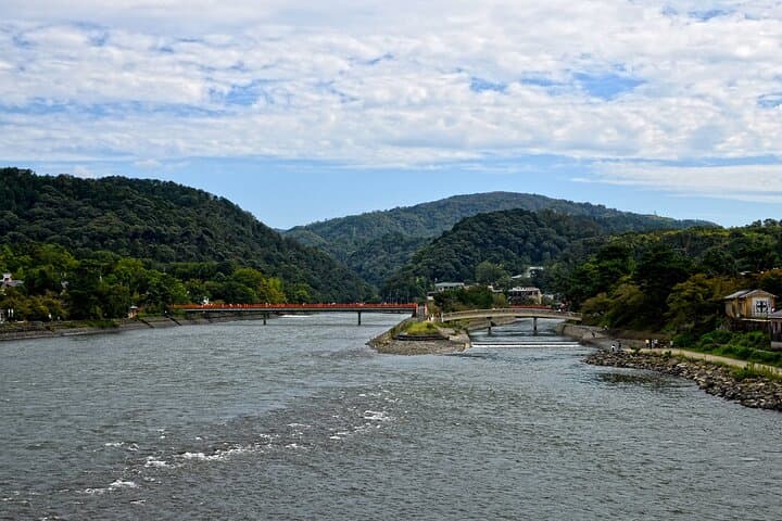 Uji Tea Ceremony and UNESCO Heritage Walking Tour — photo 19