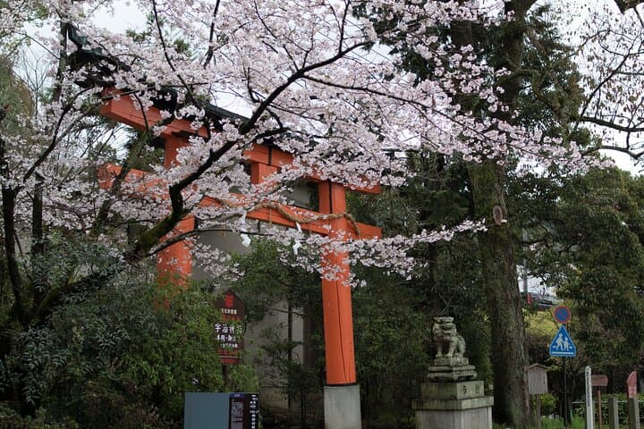 Uji Tea Ceremony and UNESCO Heritage Walking Tour — photo 4