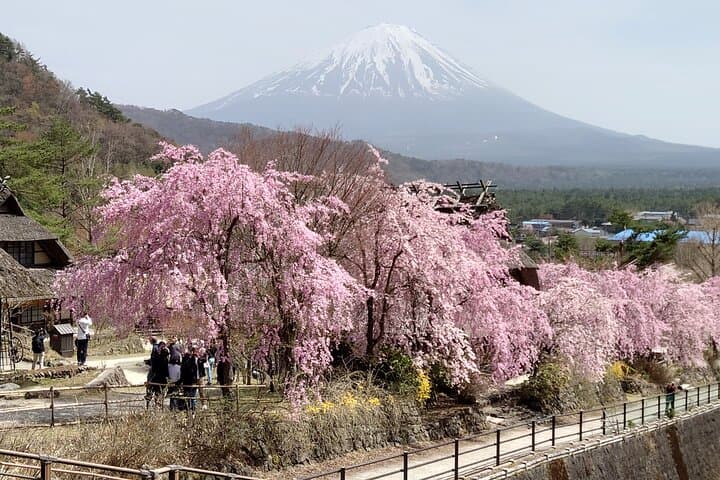 Mt. Fuji Day Tour by Private Minivan with Licensed Tour Guide and Driver — photo 12