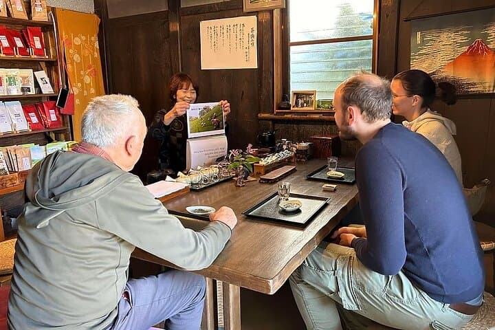 Shizuoka 6hr Private Tour and Japanese Tea Farm Tour with Vehicle — photo 2