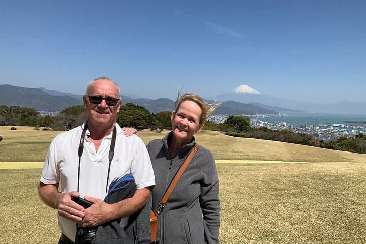 Shizuoka 6hr Private Tour and Japanese Tea Farm Tour with Vehicle — photo 9