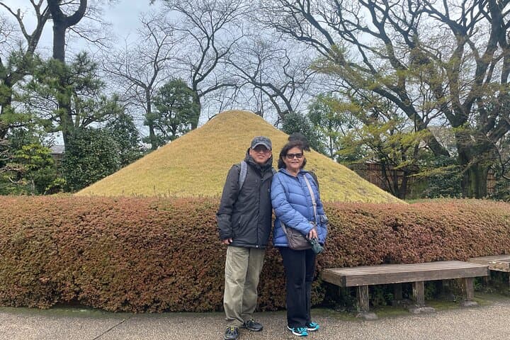 Shizuoka 6hr Private Tour and Japanese Tea Farm Tour with Vehicle — photo 10