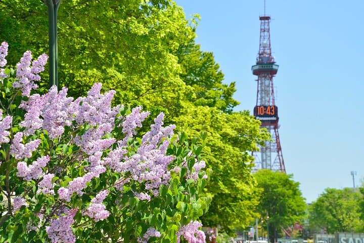 Sapporo Walking Tour (Morning/Afternoon on Weekdays) — photo 17