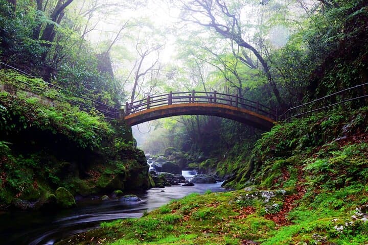 From Fukuoka: Miyazaki, Takachiho Gorge And Shrine Day Tour — photo 7