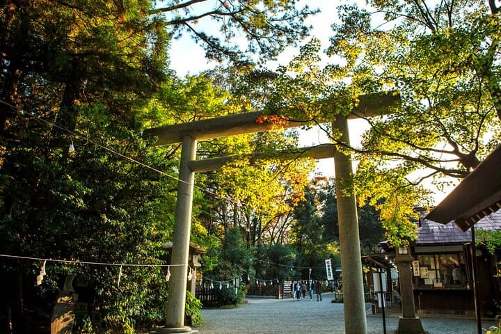 From Fukuoka: Miyazaki, Takachiho Gorge And Shrine Day Tour — photo 9