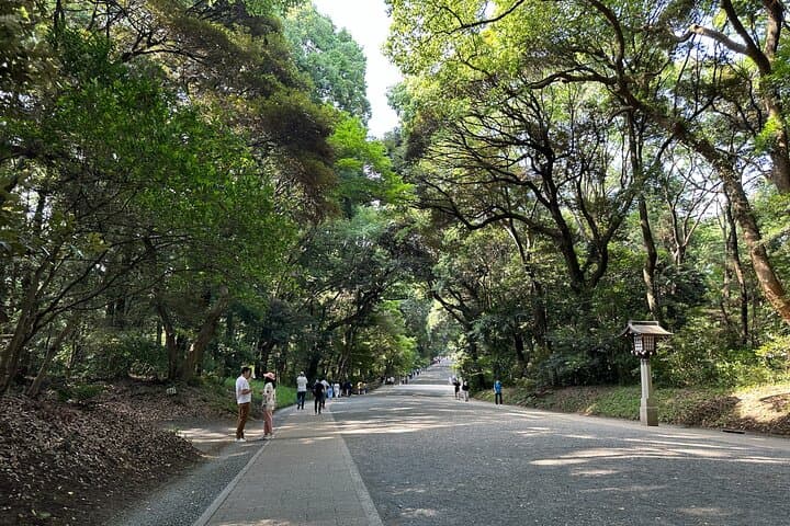 Sacred Morning Walk and Brunch Meiji Shrine — photo 11