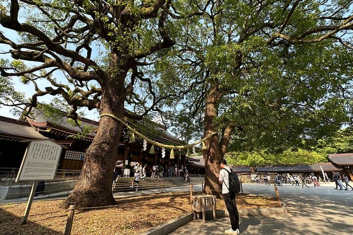 Sacred Morning Walk and Brunch Meiji Shrine — photo 1