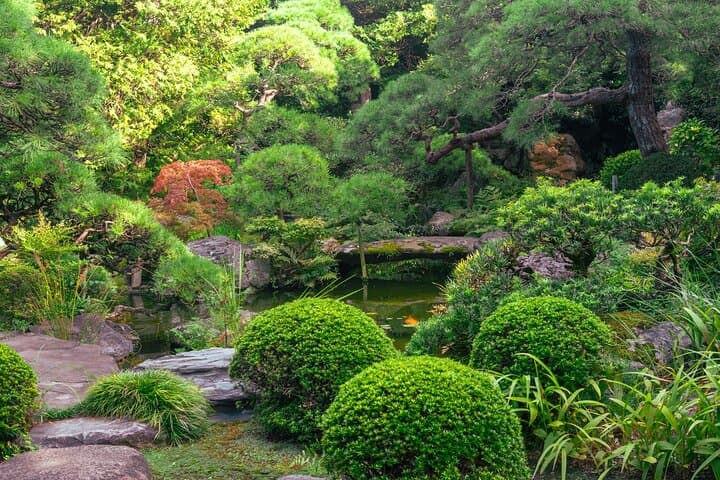 4 Hours Guided Tokyo Custom Tour — photo 9