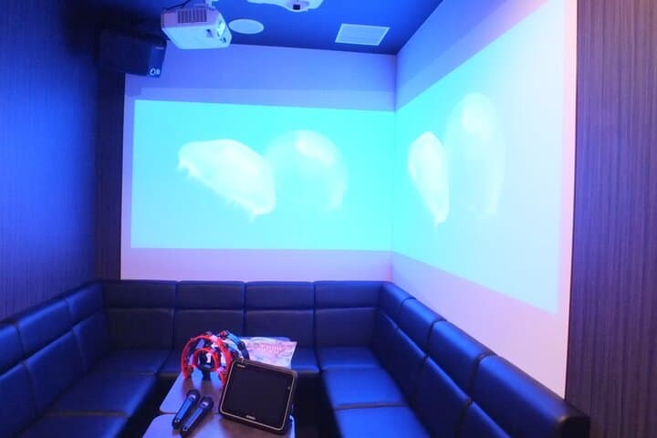 Osaka Karaoke room for 1 Hour with Set Menu and Unlimited Drinks — photo 12