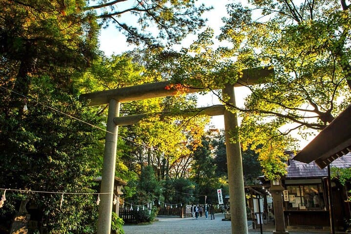 Takachiho Gorge & Ancient Shrines Day Trip from Fukuoka — photo 6
