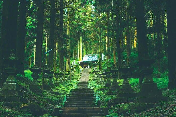Takachiho Gorge & Ancient Shrines Day Trip from Fukuoka — photo 9