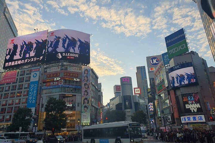 Private Tailored Tour with Local Guide in Tokyo — photo 8