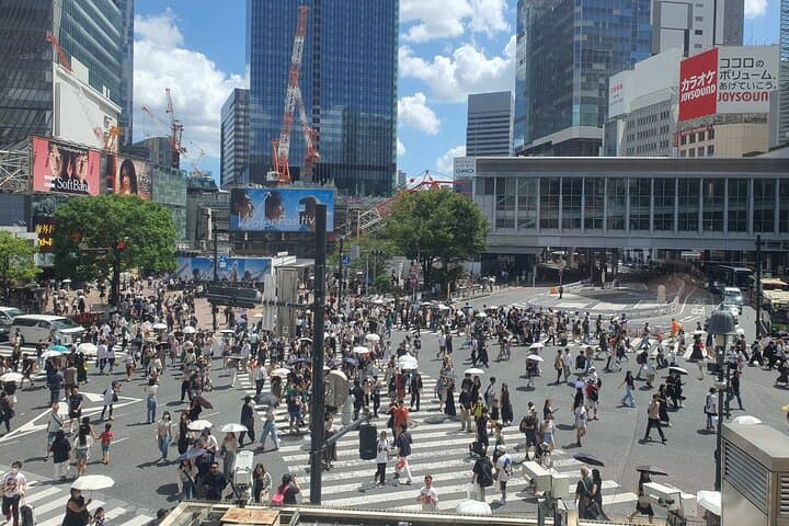Private Tailored Tour with Local Guide in Tokyo — photo 9