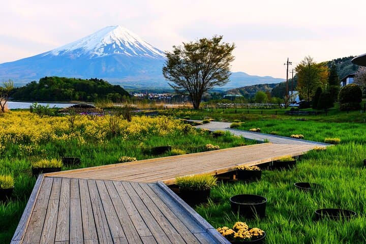 From Tokyo: Private Day Trip to Mount Fuji & Fuji Five lakes — photo 5