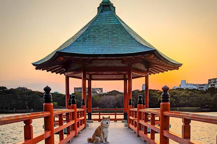 Join Fukuoka Adventure Friendly Tour with a Local Guide — photo 4