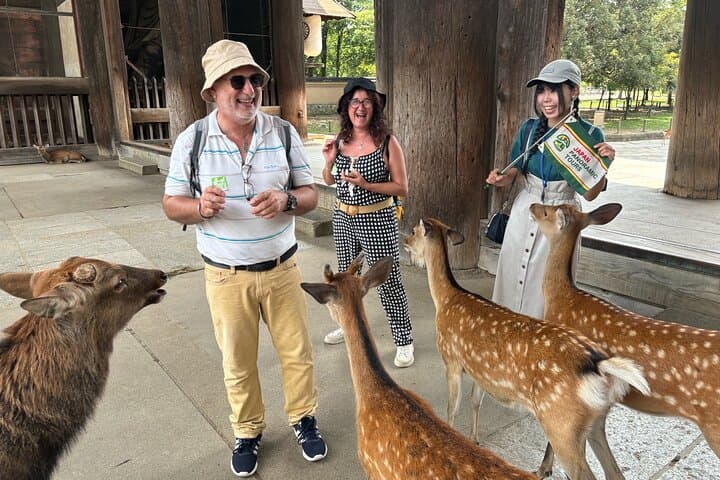 World Heritage Kyoto & Nara Uji Authentic Matcha Experience — photo 10