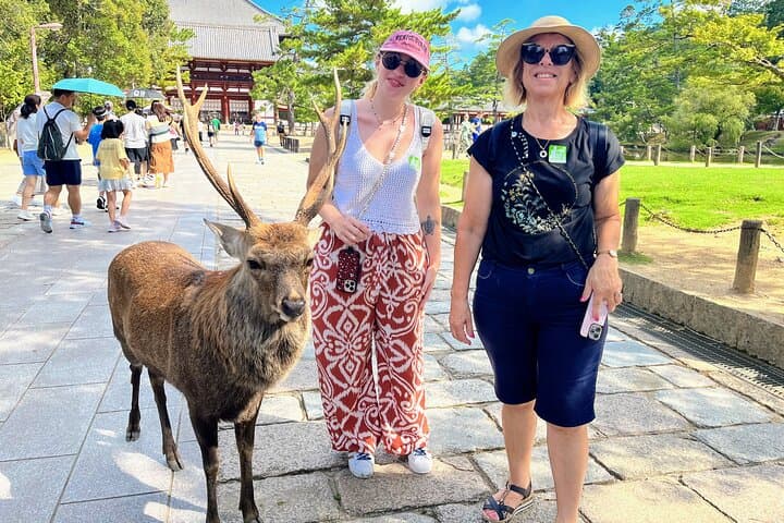 World Heritage Kyoto & Nara Uji Authentic Matcha Experience — photo 15