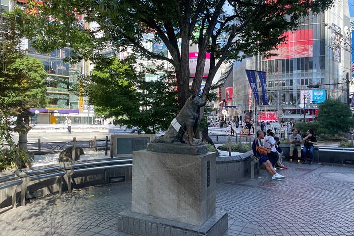 Tokyo Shibuya and Highlights Private Running Tour — photo 1