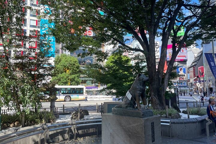 Tokyo Shibuya and Highlights Private Running Tour — photo 2
