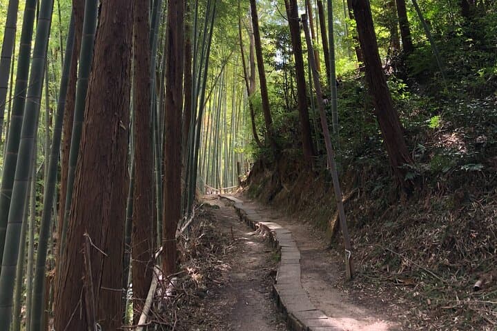 【Fushimi inari shrine】A local born in Kyoto shares the secret path away tourists — photo 2