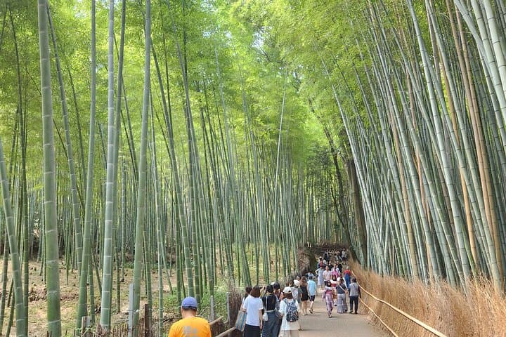 Kyoto Highlights of 6 Hour Private Car Tour — photo 2