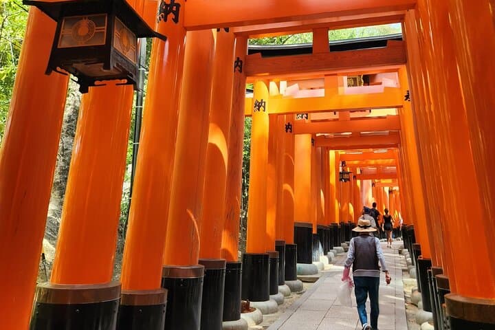 Kyoto Highlights of 6 Hour Private Car Tour — photo 3